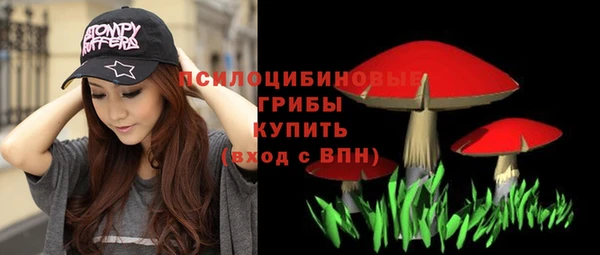 прущая мука Горняк