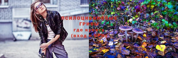 амф Горно-Алтайск